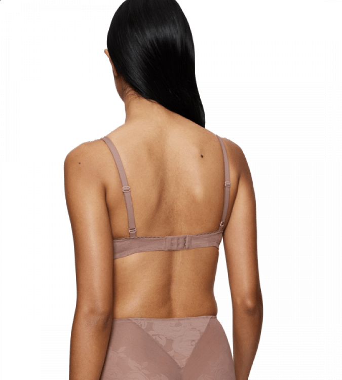 Wild Rose Sensation WP