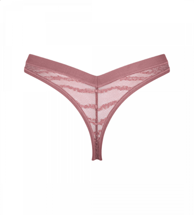 String sloggi FREE Evolve Lace